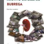 Akutno oštećenje bubrega