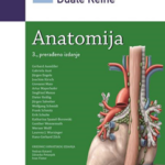Anatomija, Duale Reiche