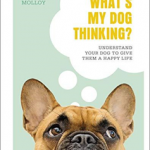 What's My Dog Thinking? : Understand Your Dog to Give Them a Happy Life