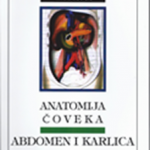 Anatomija čoveka abdomen i karlica