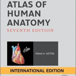 Atlas of Human Anatomy, 7th Edition, International Edition, 7 Ed