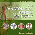 The Anatomical Basis of Dentistry