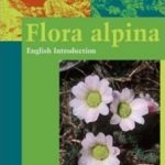 Flora alpina, English Introduction