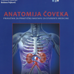 Anatomija čoveka : priručnik za praktičnu nastavu