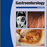 BSAVA Gastroenterology 3e P