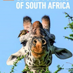 South Africa - Game Parks, The Rough Guide