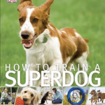 How To Train A Superdog : Unleash Your Dog's Potential