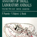 Colour Atlas of Anatomy of Small Laboratory Animals: Volume 2: v. 2 (A Colour Atlas of Anatomy of Small Laboratory Animals)