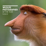 Wildlife Photographer of the Year: Portf