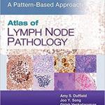 Atlas of Lymph Node Pathology A Pattern Based Approach