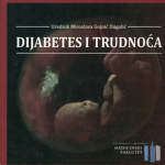 Dijabetes i trudnoća
