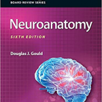 BRS NEUROANATOMY 6E                   PB