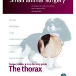 The Thorax. Small animal surgery