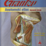 Grantov anatomski atlas