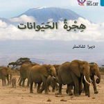 BIG CAT ARABIC - ANIMAL MIGRA