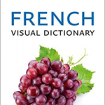 French Visual Dictionary : A Photo Guide to Everyday Words and Phrases in French