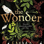 The Wonder
