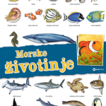 Panorama: Morske životinje