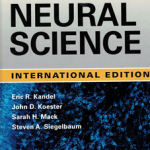 IE Principles Of Neural Science Sixth Edition