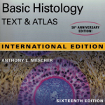 Junqueira's Basic Histology: Text and Atlas, Sixteenth Edition