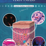 Histologija : tekst i atlas