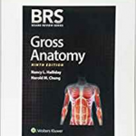 BRS GROSS ANATOMY 9E (INT ED)         PB