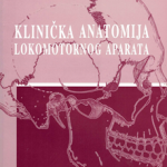 Klinička anatomija lokomotornog aparata : (apparatus locomotorius) : za studente više medicinske škole