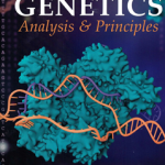 ISE Genetics: Analysis and Principles (ISE HED WCB CELL & MOLECULAR BIOLOGY) Paperback – 5 Mar. 2020by Robert Brooker (Author)