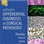 Gattuso's Differential Diagnosis in Surgical Pathology, 4th Edition