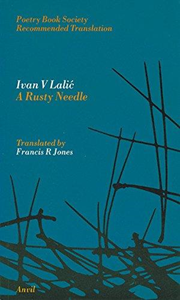 A rusty needle