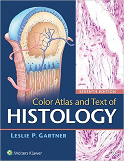 COLOR ATLAS AND TEXT OF HISTOLOGY 7E  PB