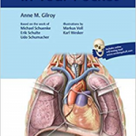 Anatomy in Your Pocket