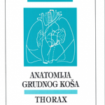 Anatomija grudnog koša : (thorax)