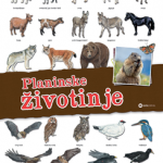Panorama: Planinske životinje