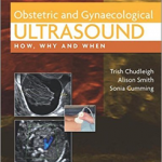 Obstetric & Gynaecological Ultrasound: How, Why and When, 4 Ed