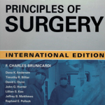 Schwartzs Principles of Surgery (International Edition), 11th Edition