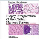 Biopsy Interp Central Nervous Syst 2E Cb