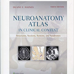 Neuroanatomy Atlas in Clinical Context: Structures, Sections, Systems, and Syndromes, 10th Edition
