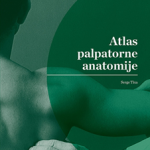 Atlas palpatorne anatomije