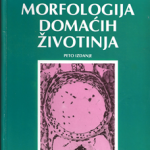 Morfologija domaćih životinja