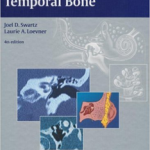 Imaging of the Temporal Bone
