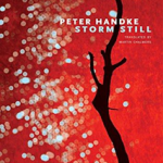 Storm Still