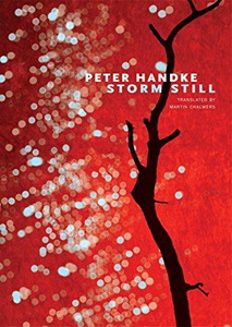 upload202112171959172504.png Storm Still - Slika 1
