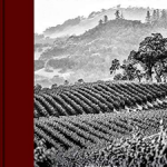 VINEYARDS
