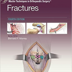 Master Techniques in Orthopaedic Surgery Fractures