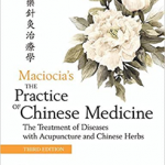 The Practice of Chinese Medicine