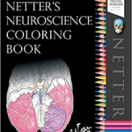 Netter's Neuroscience Coloring Book