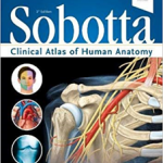 Sobotta Clinical Atlas of Human Anatomy, one volume, English