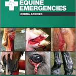 Handbook of Equine Emergencies,