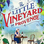 The Little Vineyard in Provence